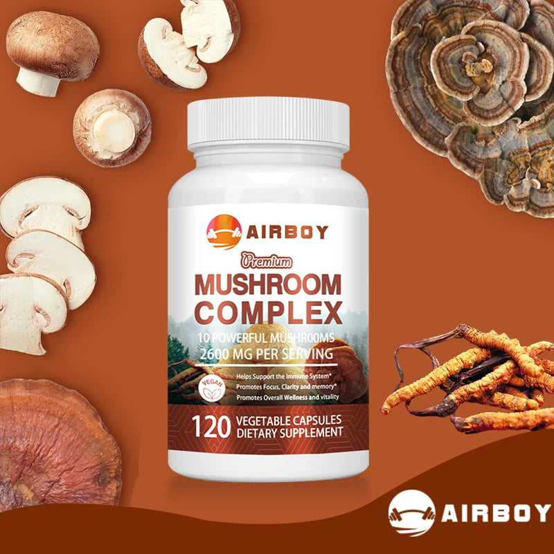 Nootropic Supplement: Reishi Mushroom for Memory & Focus