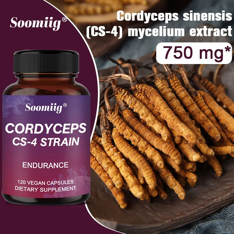 Cordyceps Capsules - Stamina and Energy Support, Helps Immune & Cardiovascular Health, Brain Supplement for Memory and Focus