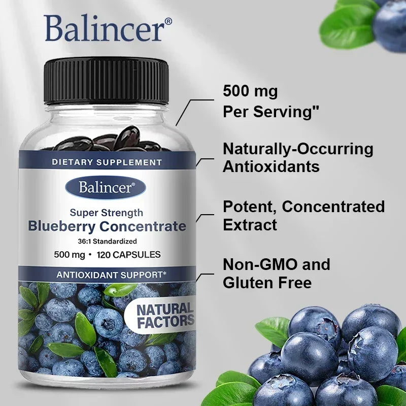 Brain Supplement: Blueberry Capsules 500mg - Brain, Heart & Eye Health Boost