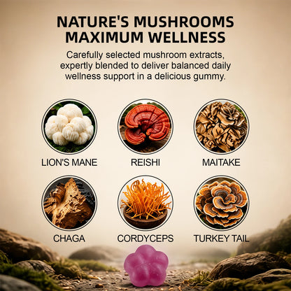 250mg Mushroom Super Blend Complex - Brain Nervous System Health and Memory Supplements Immunity Sleep Energy Mood Support