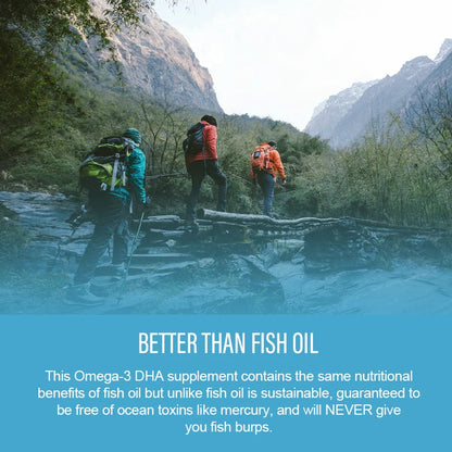 1200mg Vegan OVEGA-3 Plant-Based Omega-3 from Algal Oil Daily Supplement, Rich DHA & EPA, Supports Brain, Eye & Heart Health