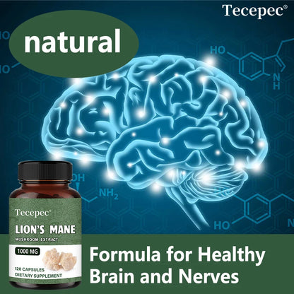 Organic Lion's Mane Mushroom Extract Capsules, Nootropic Support for Focus Memory Mood Sleep & Immune Wellness, Stress Relief