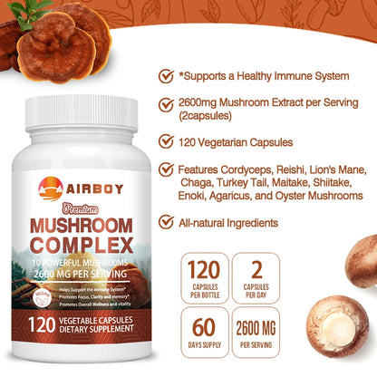 Nootropic Supplement: Reishi Mushroom for Memory & Focus