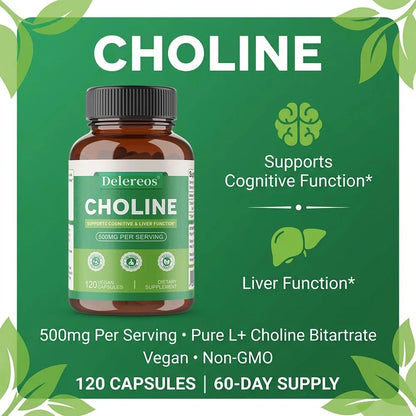 Choline, 500 Mg Per Serving, 120 Capsules | Supports Memory & Focus, Liver Function and Mental Clarity for Women and Men