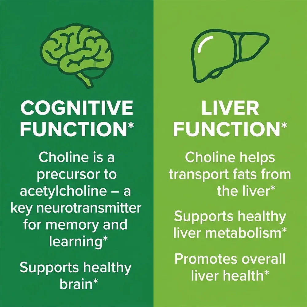 Choline, 500 Mg Per Serving, 120 Capsules | Supports Memory & Focus, Liver Function and Mental Clarity for Women and Men