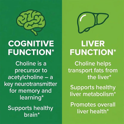 Choline, 500 Mg Per Serving, 120 Capsules | Supports Memory & Focus, Liver Function and Mental Clarity for Women and Men