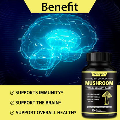 Brain Supplement: Mushroom Complex - Boost Memory & Focus, Fight Stress