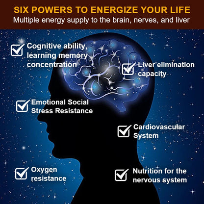 Nootropic Capsules, with PQQ, Bacopa & L-Theanine, Improves Focus, Learning Ability, Memory, Calm Mood & Mental Performance