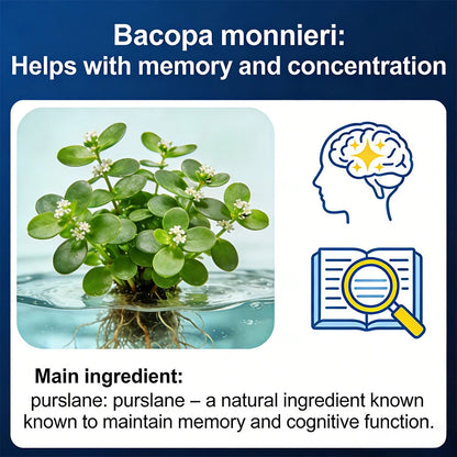 Brain Booster Nootropic Supplement, Enhance Focus, Memory & Concentration, Improve Cognitive Performance, Thinking Skills