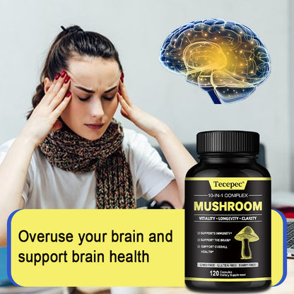 Lion's Mane & Reishi Mushroom: Boost Focus & Combat Stress