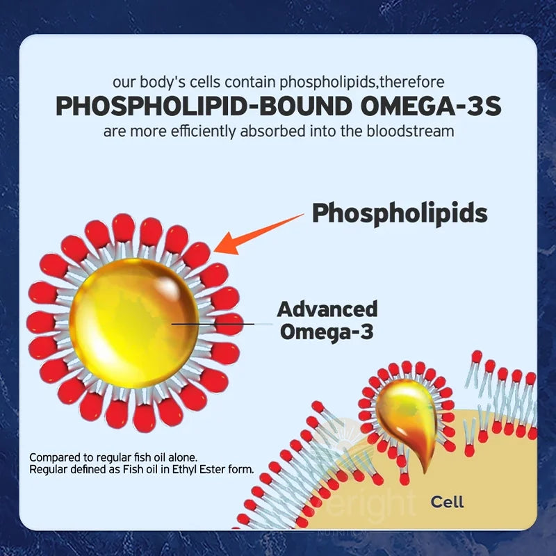 Krill Oil - Phospholipid Omega-3 Complex with Astaxanthin - Support Lipid Management, Metabolism, Brain & Heart Health - EPA DHA