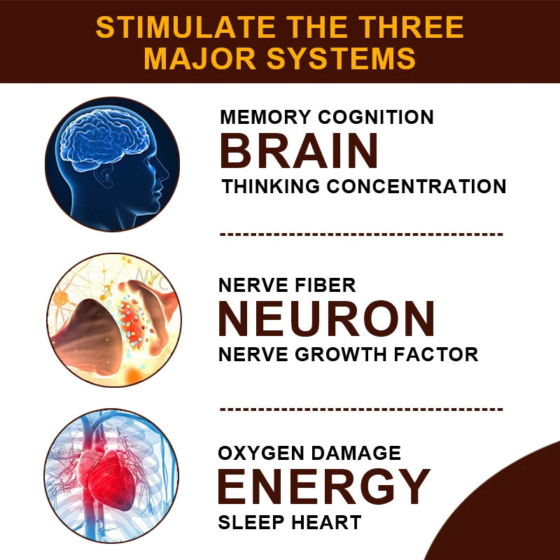 Nootropic Capsules, with PQQ, Bacopa & L-Theanine, Improves Focus, Learning Ability, Memory, Calm Mood & Mental Performance