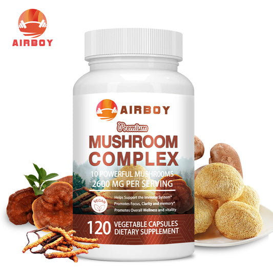 Nootropic Supplement: Reishi Mushroom for Memory & Focus