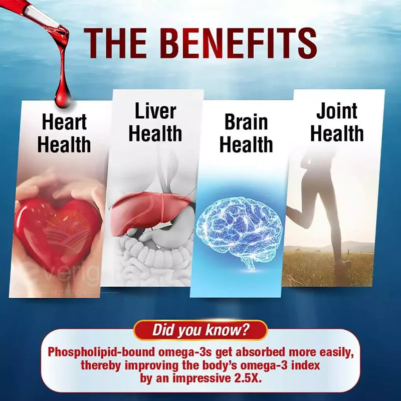 Krill Oil - Phospholipid Omega-3 Complex with Astaxanthin - Support Lipid Management, Metabolism, Brain & Heart Health - EPA DHA