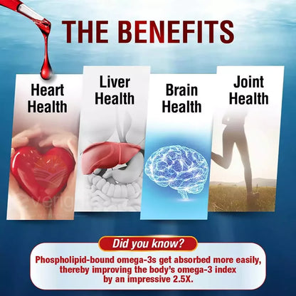 Krill Oil - Phospholipid Omega-3 Complex with Astaxanthin - Support Lipid Management, Metabolism, Brain & Heart Health - EPA DHA