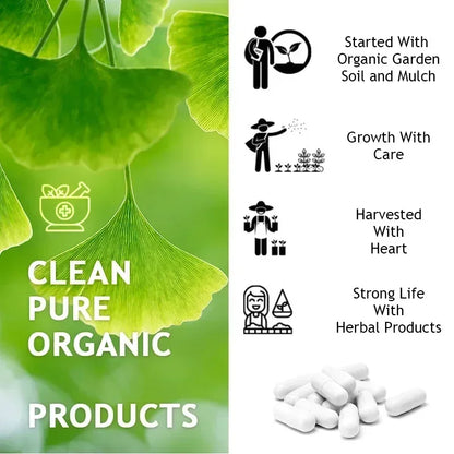Ginkgo Biloba 5000mg Extra Strength - Boost Memory & Focus